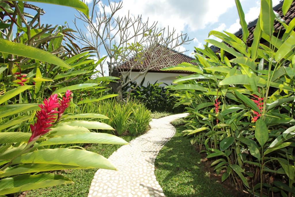 Sunset Hill Bed and Breakfast Ubud Kamer foto