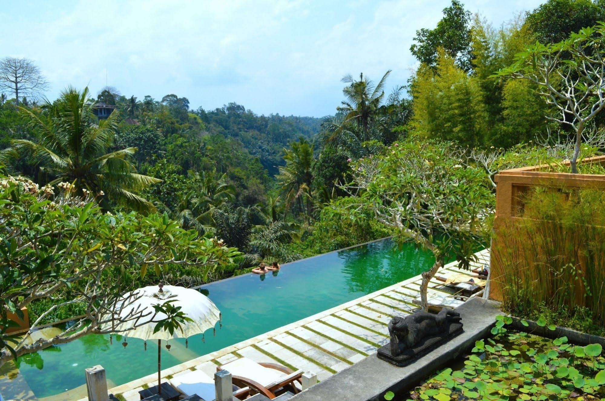 Sunset Hill Bed and Breakfast Ubud Buitenkant foto
