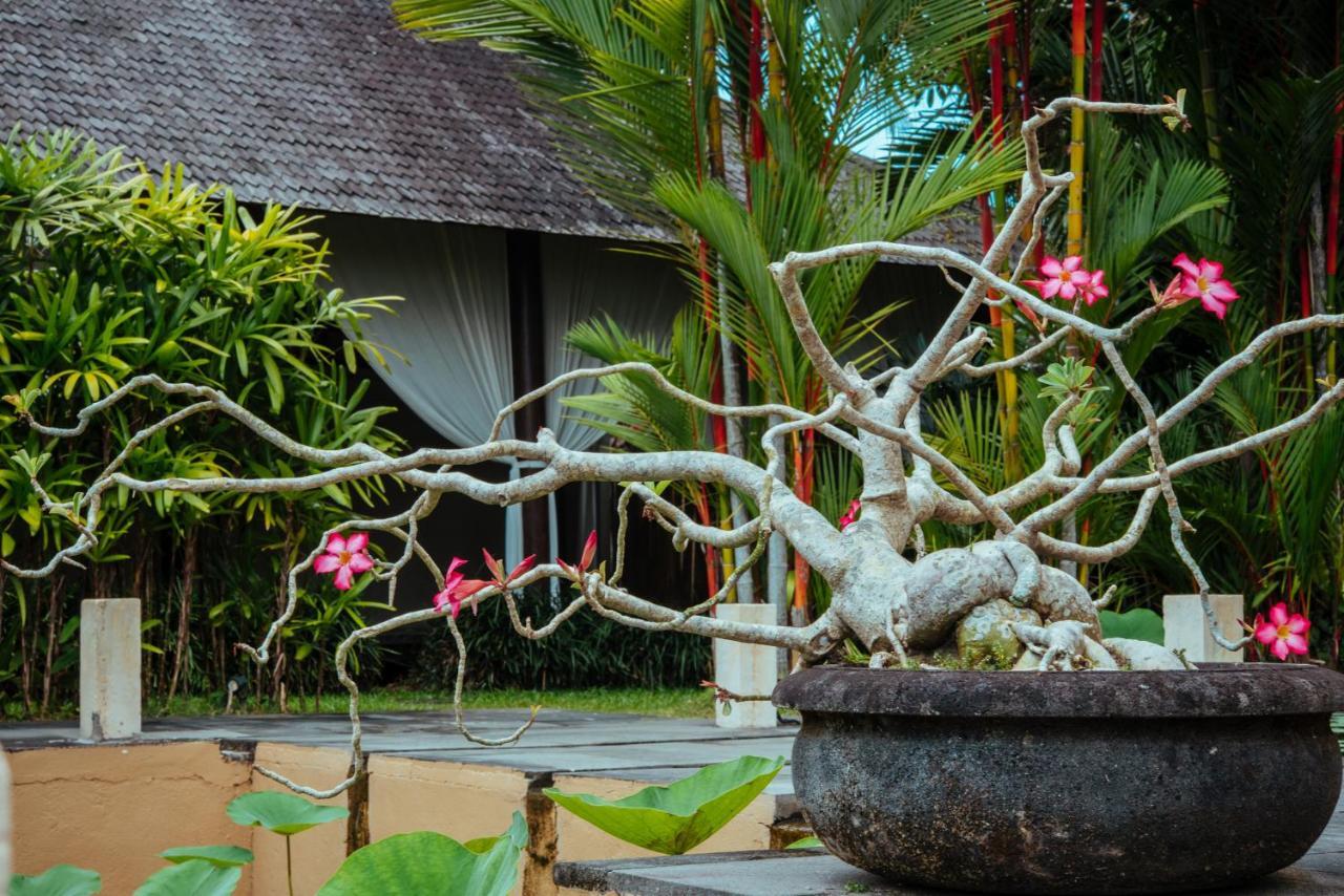 Sunset Hill Bed and Breakfast Ubud Buitenkant foto