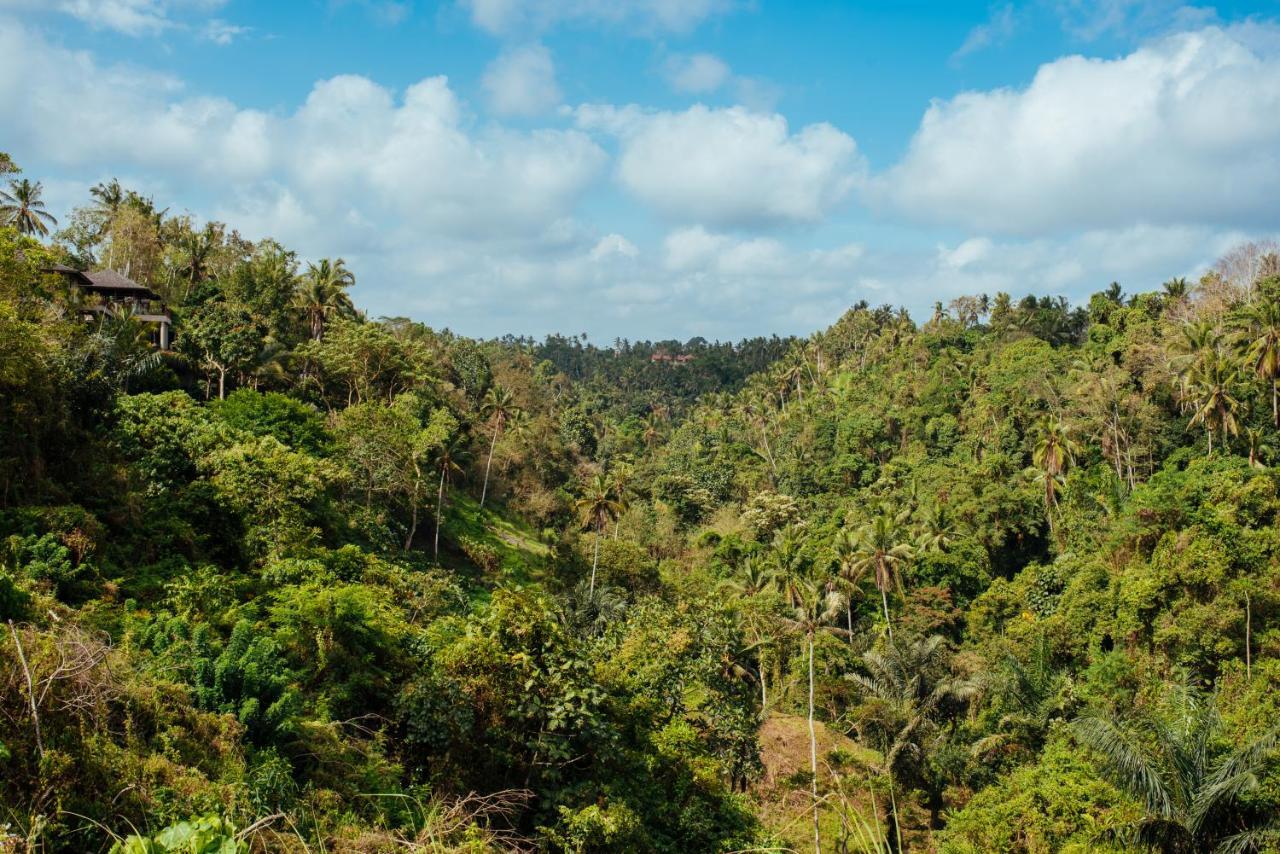 Sunset Hill Bed and Breakfast Ubud Buitenkant foto