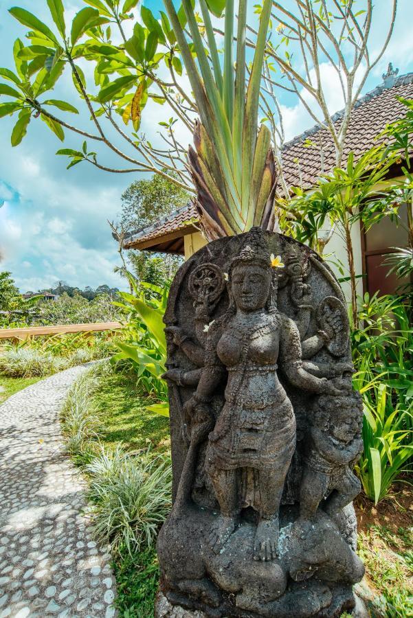 Sunset Hill Bed and Breakfast Ubud Buitenkant foto