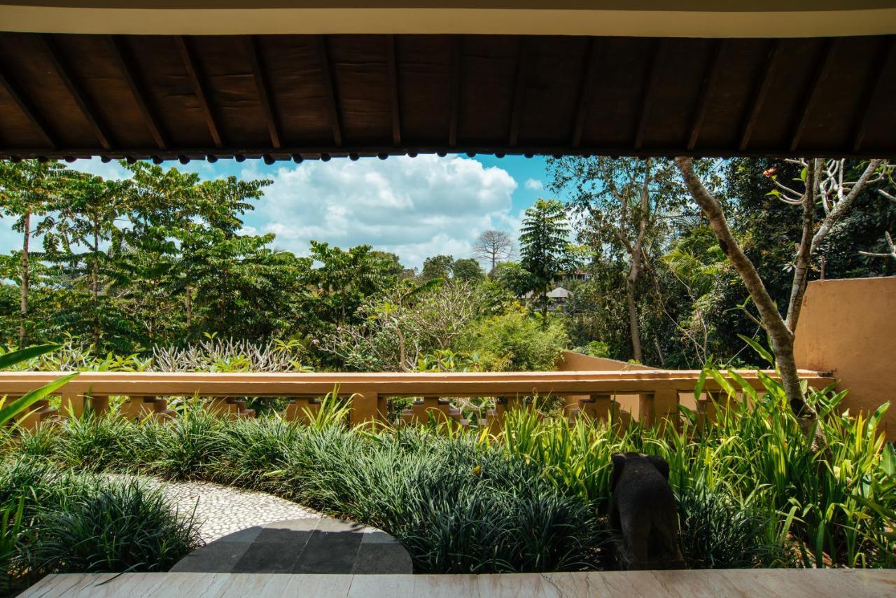 Sunset Hill Bed and Breakfast Ubud Buitenkant foto