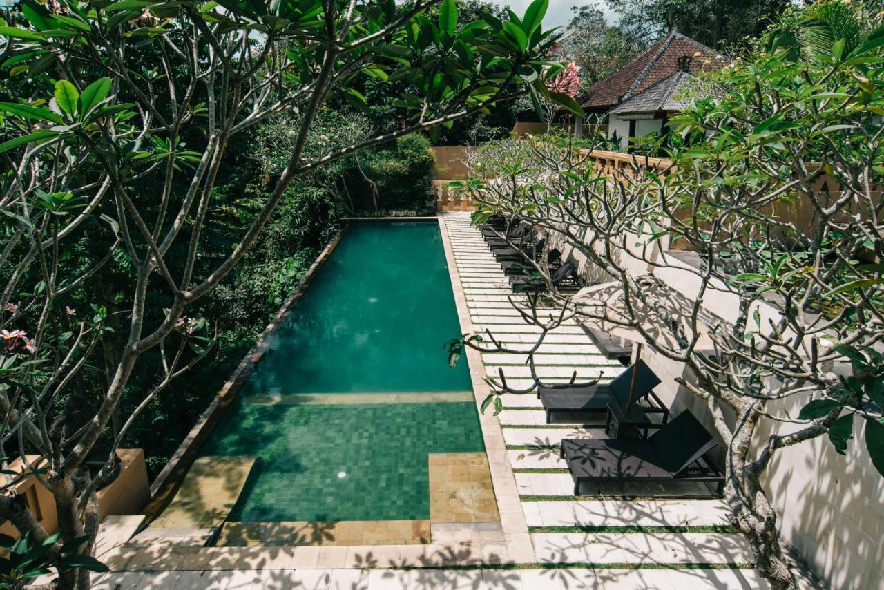 Sunset Hill Bed and Breakfast Ubud Buitenkant foto