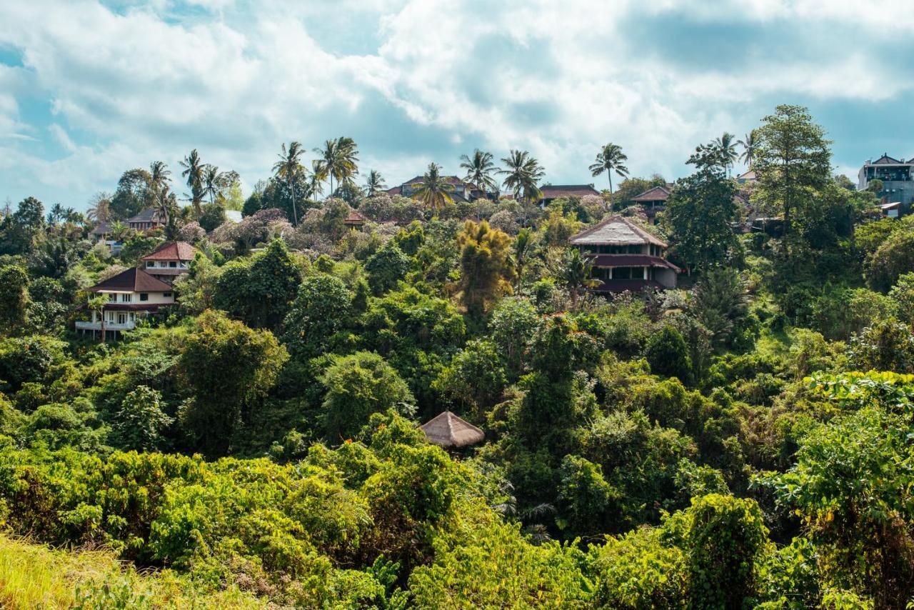 Sunset Hill Bed and Breakfast Ubud Buitenkant foto