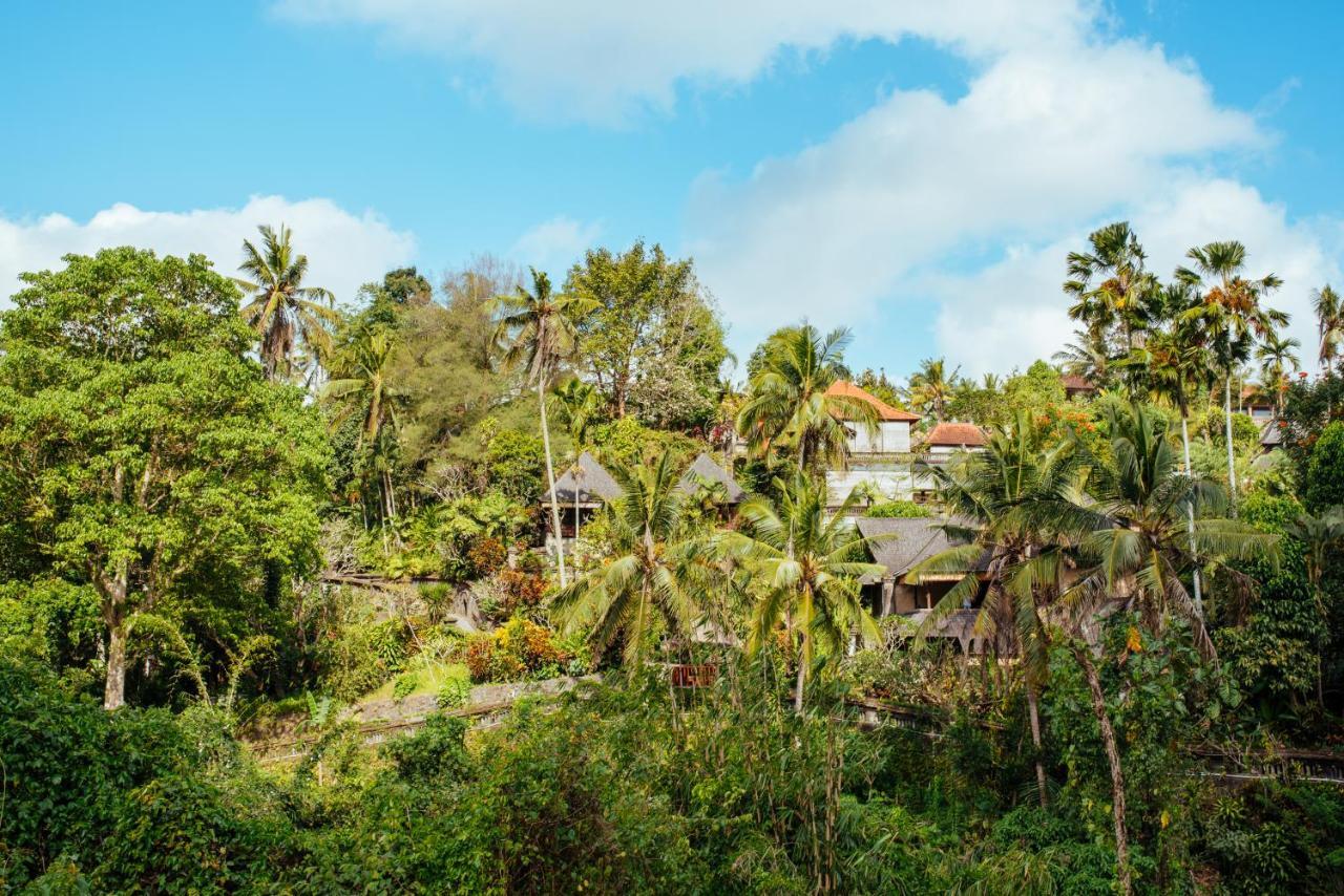 Sunset Hill Bed and Breakfast Ubud Buitenkant foto